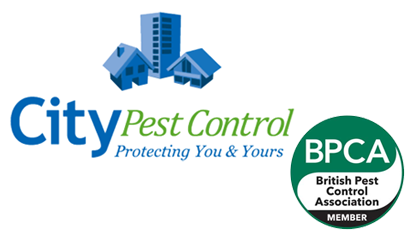 City Pest Control logo